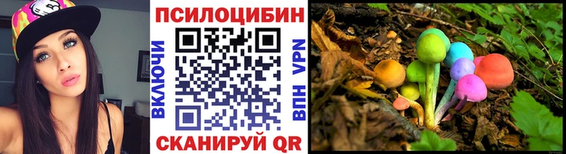 Псилоцибиновые грибы Magic Shrooms  Снежногорск 